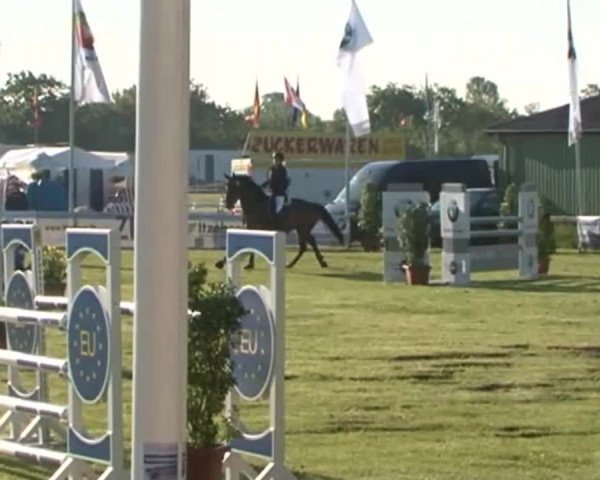 Nord-Ost-Pferd 2015