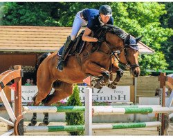 jumper Gorgia (German Sport Horse, 2006, from Lefevre)