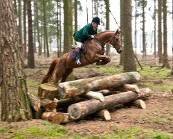 broodmare Flying Alpha (Zweibrücken, 2004, from Fighting Alpha)