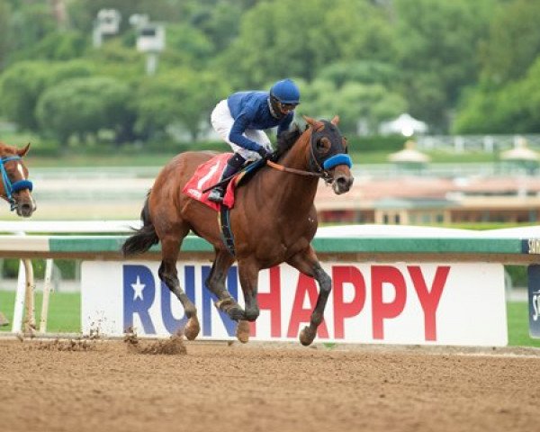 horse Cezanne xx (Thoroughbred, 2017, from Curlin xx)