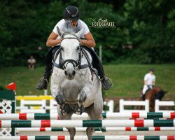 broodmare L'Isbelle H Z (Zangersheide riding horse, 2010, from Little Rock)