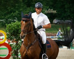 jumper Cassadero (Hanoverian, 2009, from Christdorn)