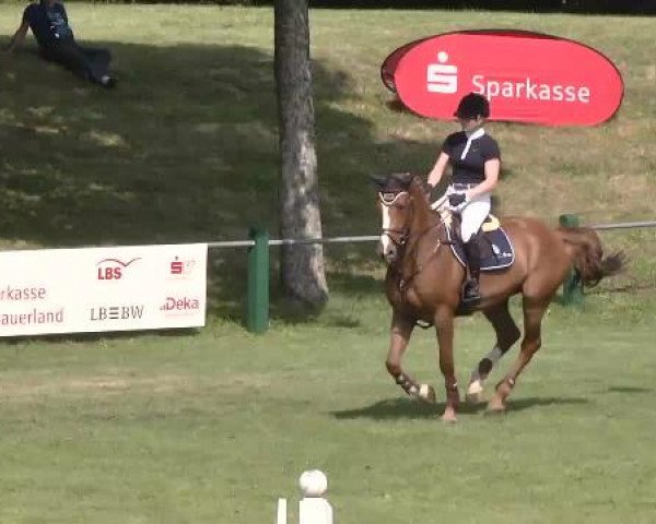Sommerturnier Legelshurst 2015