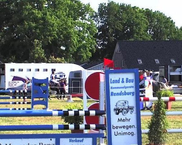 Nord-Ost-Pferd 2015