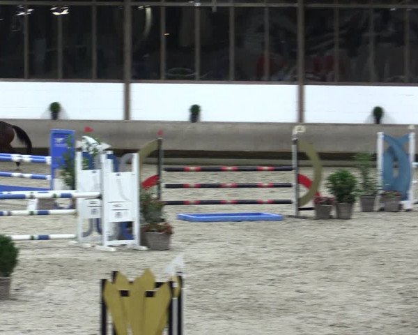 Reitturnier Langenfeld - Gut Langfort 2021