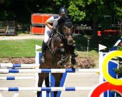 jumper Elcantaro (Hanoverian, 2008, from Escudo I)