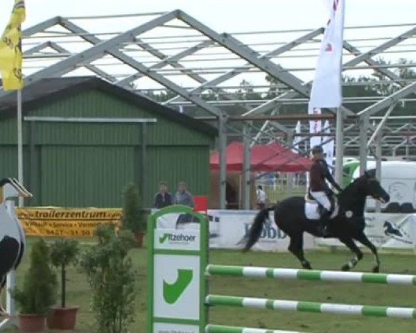 Nord-Ost-Pferd 2015