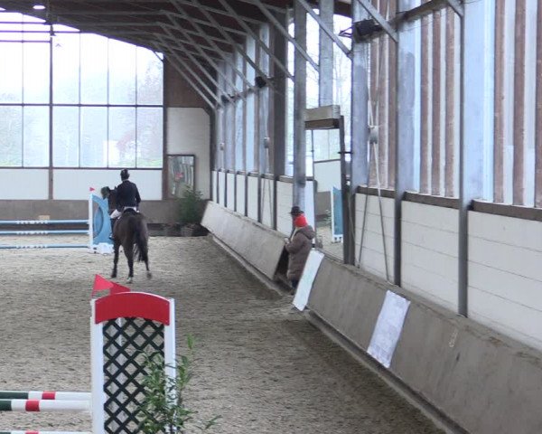 Reitturnier Langenfeld - Gut Langfort 2021