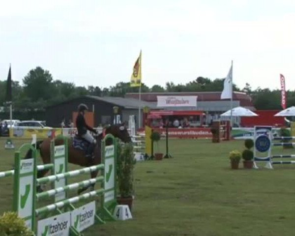 Nord-Ost-Pferd 2015