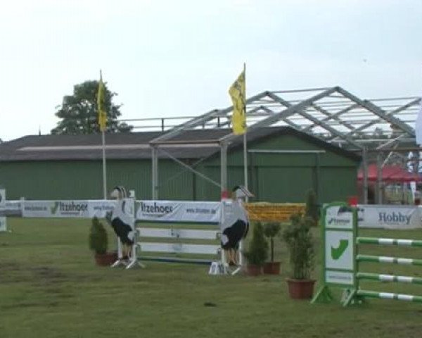 Nord-Ost-Pferd 2015