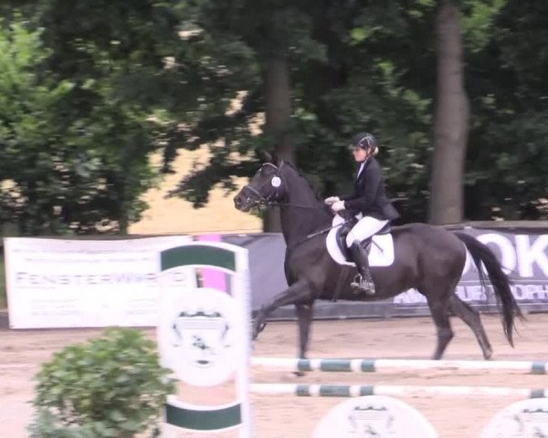 Düsseldorfer Reitertage 2015