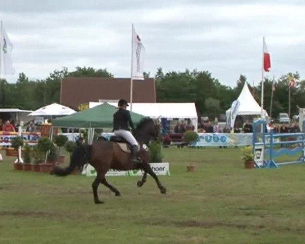 Nord-Ost-Pferd 2015