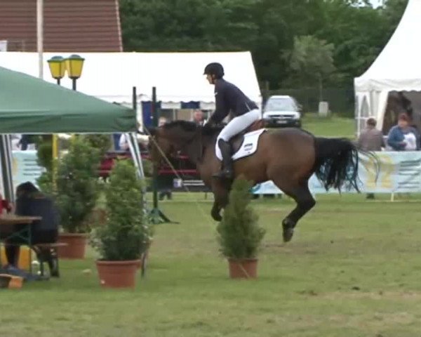 Nord-Ost-Pferd 2015