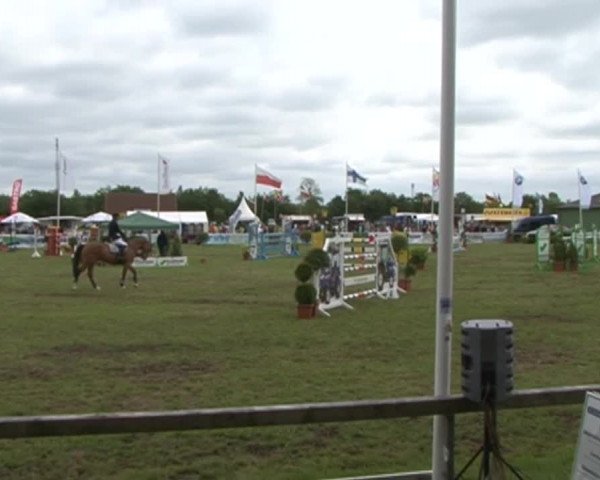 Nord-Ost-Pferd 2015