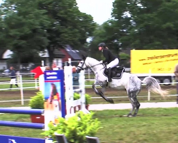 Nord-Ost-Pferd 2015