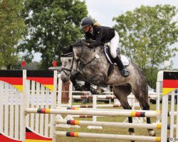 jumper Käpt'n Hook P (German Sport Horse, 2013, from Kannan)