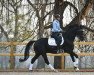 dressage horse Entertainer Mp (KWPN (Royal Dutch Sporthorse), 2009, from Sorento OLD)