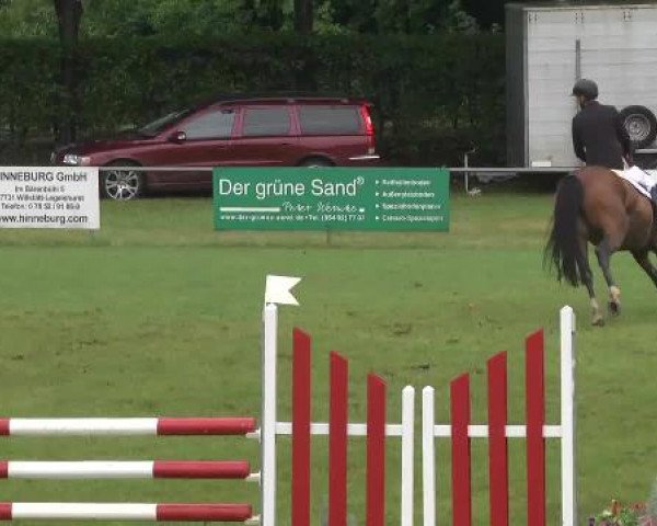 Sommerturnier Legelshurst 2015