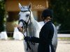 dressage horse Miss Charlotte (German Riding Pony, 2015, from Cosmopolitan NRW)