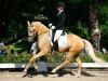 broodmare FBW Mary Poppins (German Riding Pony, 2015, from FS Mr. Right)