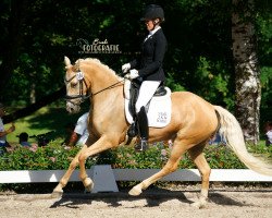 dressage horse FBW Mary Poppins (Deutsches Reitpony, 2015, from FS Mr. Right)