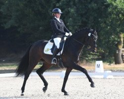 dressage horse Fine Designed MJ (Hanoverian, 2015, from Finest)