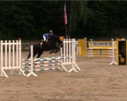 Springpferd Beauty-Queen-Maja (Deutsches Sportpferd, 2016, von Quitoll)