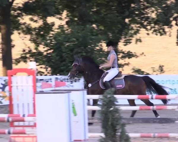 Düsseldorfer Reitertage 2015