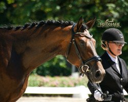 dressage horse Sweetheart Ck (German Sport Horse, 2015, from Sezuan)