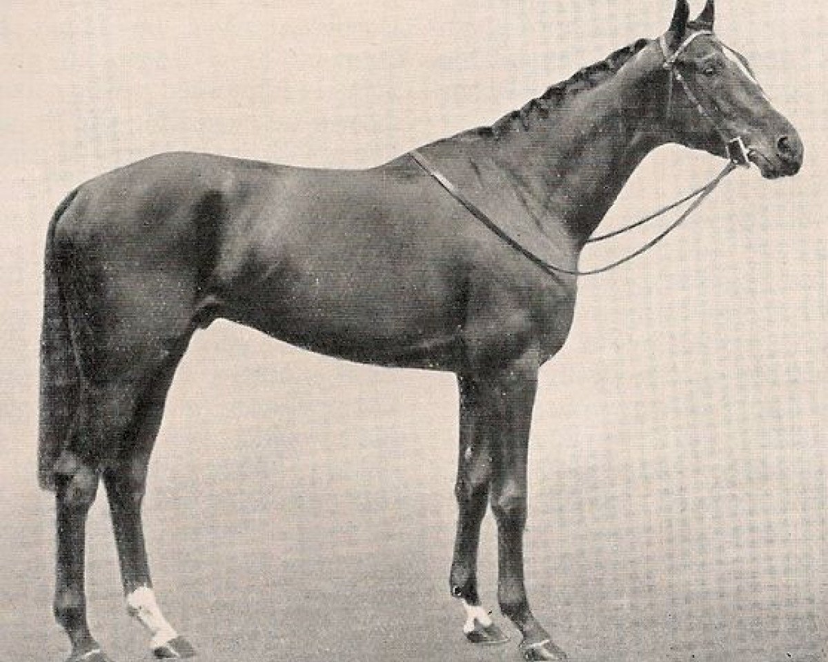 Deckhengst Le Ksar xx (Englisches Vollblut, 1934, von Ksar xx)