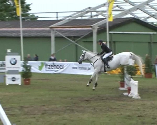 Nord-Ost-Pferd 2015