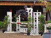 jumper Toppi 5 (German Riding Pony, 2015, from Top Berlin)