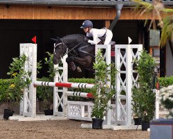 jumper Toppi 5 (German Riding Pony, 2015, from Top Berlin)