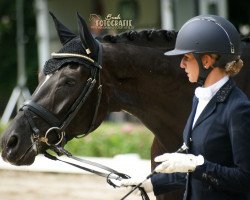 dressage horse Fittipaldi 41 (German Sport Horse, 2015, from Feriado)