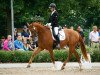 dressage horse Florestine 13 (German Sport Horse, 2016, from Fürsten-Look)