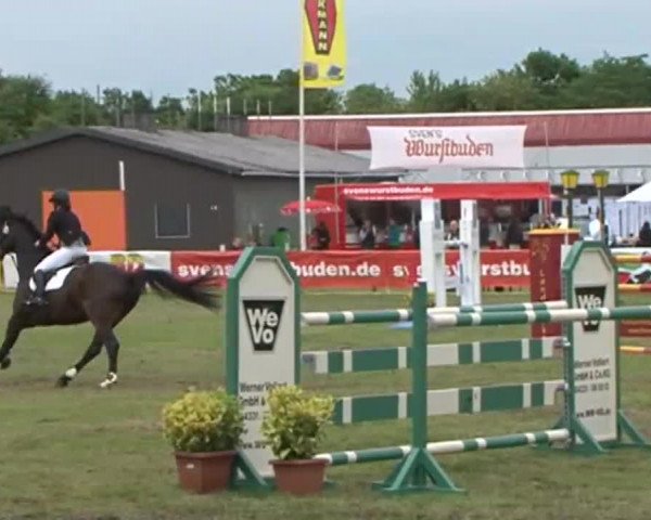 Nord-Ost-Pferd 2015