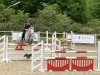 jumper Chicago 166 (German Riding Pony, 2011, from Cappuccino)