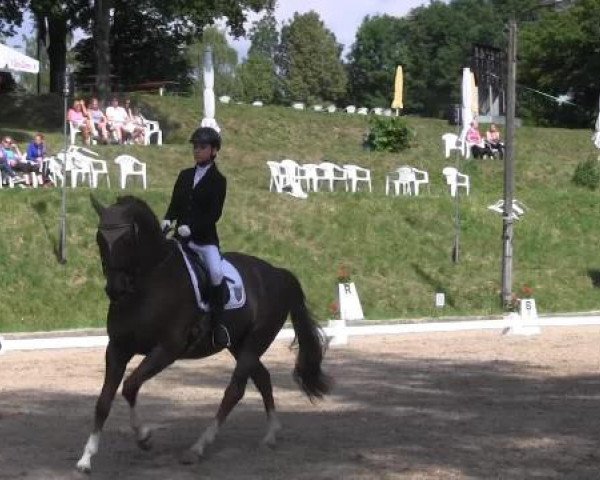 Düsseldorfer Reitertage 2015