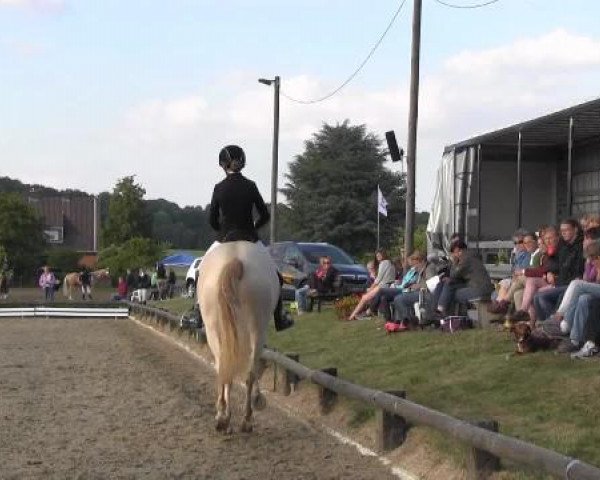 Ponyturnier Billerbeck 2015