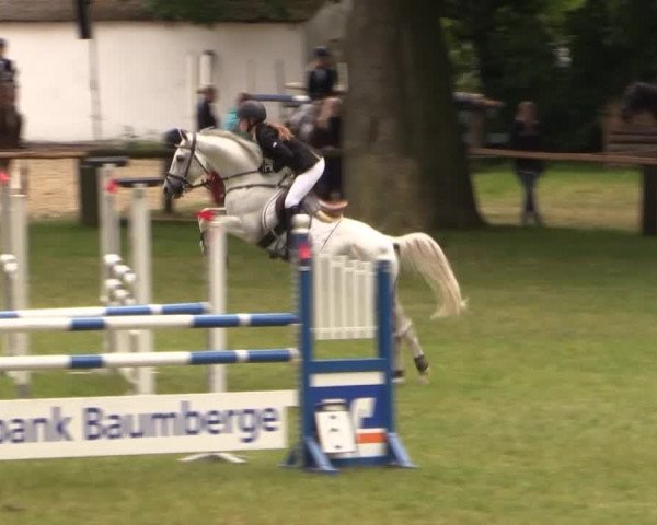 Ponyturnier Billerbeck 2015