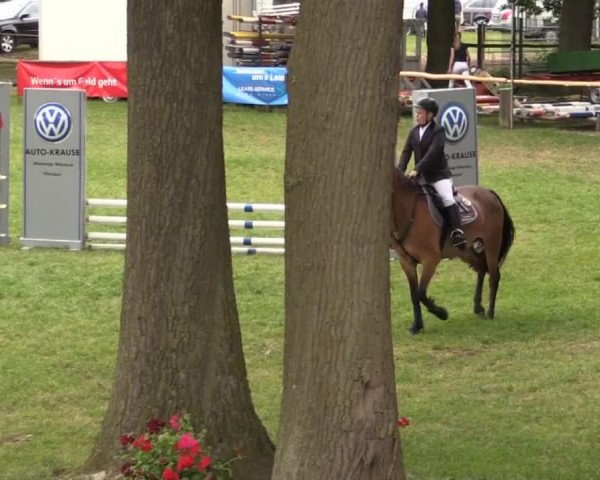Ponyturnier Billerbeck 2015