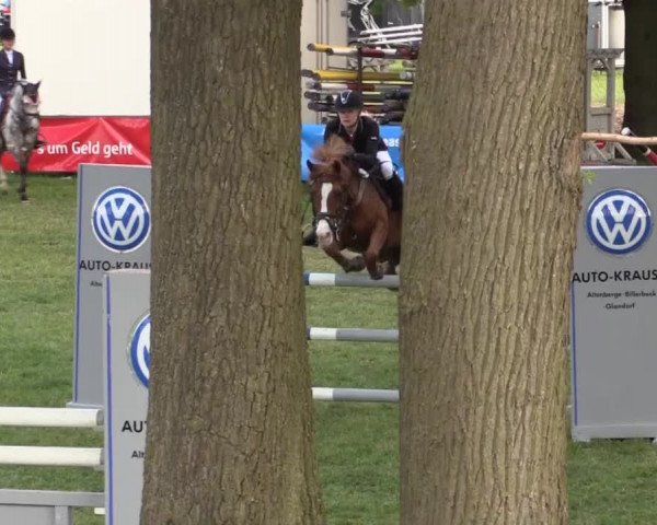 Ponyturnier Billerbeck 2015