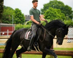 stallion Real Diamond's Universe (Hanoverian, 2012, from Real Diamond)