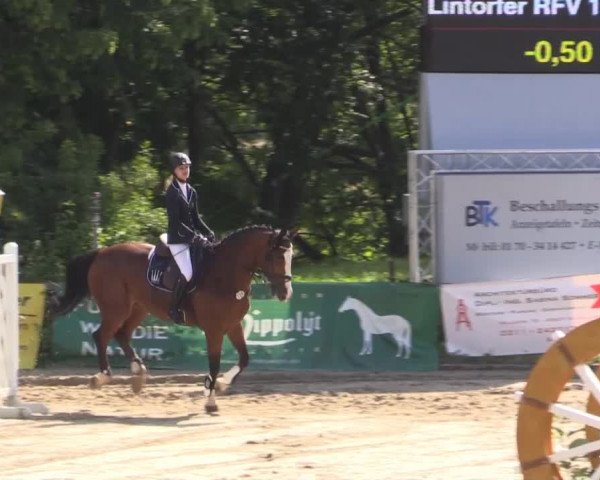 Düsseldorfer Reitertage 2015