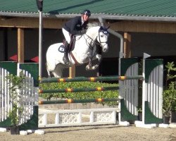 jumper Diego (KWPN (Royal Dutch Sporthorse), 2008, from Colman)