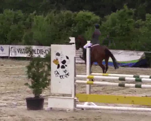 Sommerturnier Fröndenberg 2015