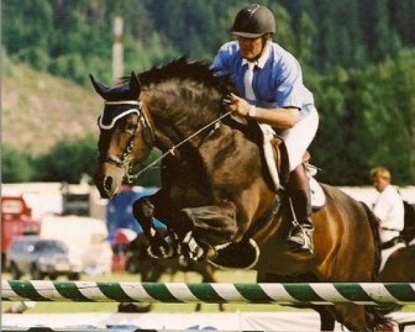 stallion Firstgraaf (KWPN (Royal Dutch Sporthorse), 1987, from Burggraaf)