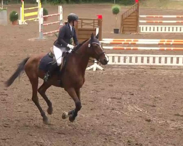Reitturnier Wiesloch 2015