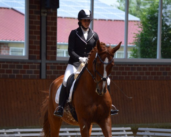 dressage horse Walk of Fame 29 (Hanoverian, 2002, from Worldly I)