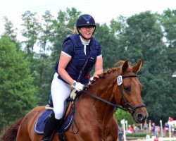 dressage horse Claussen (German Sport Horse, 2009, from Contract)